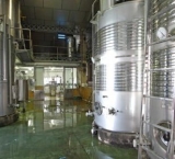 dove viene prodotto il vino 