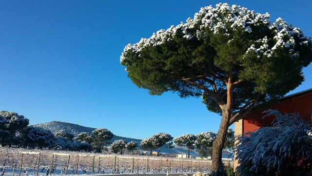  Ano de neve... 