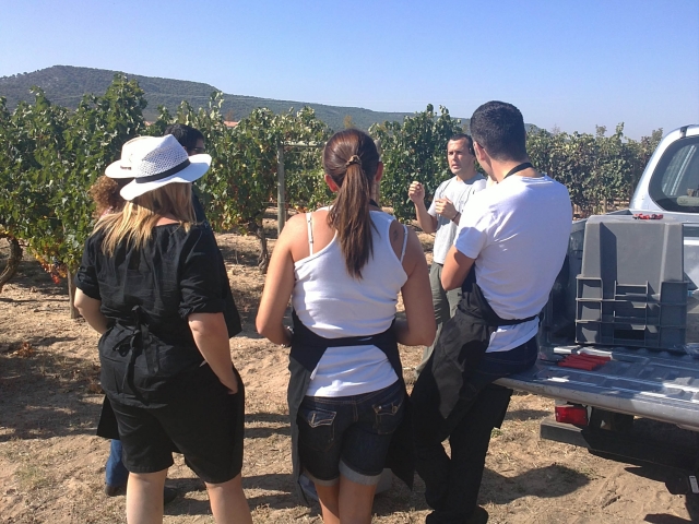  Jours de vendanges 