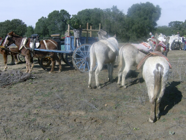  Passeios e peregrinações 