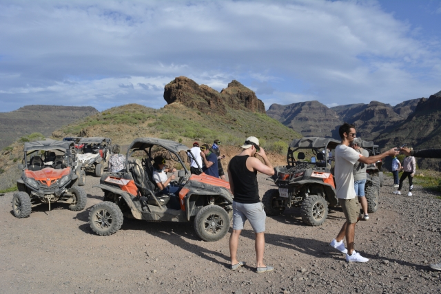 Durante la actividad