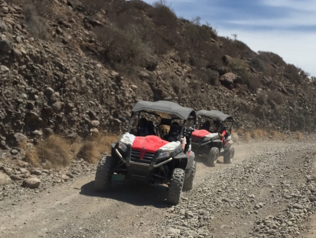 Ruta en buggy por Canarias