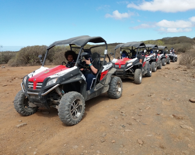 Nuestros buggies todoterreno