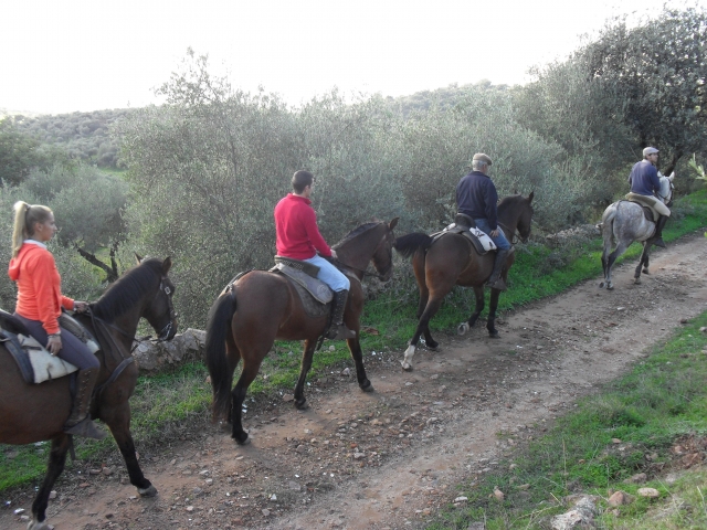 Excursión ecuestre