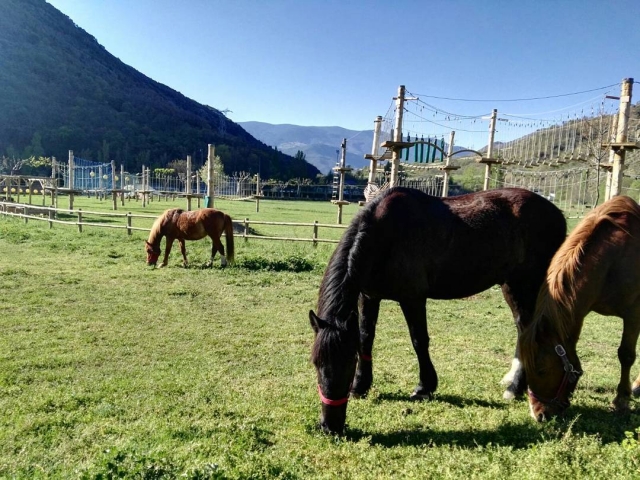 Hípica en Lleida