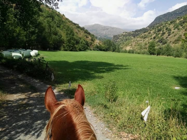 Hipica Rialp
