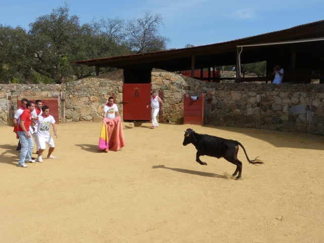 Grupo toreando simultáneamente