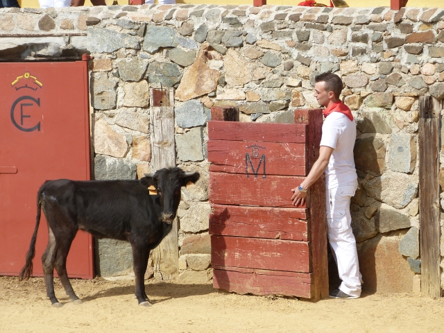 l1010337-finca-santa-maria-capeas.jpg