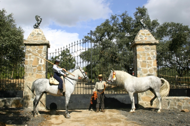Recibimiento de caballistas en la entrada de Finca Santa María
