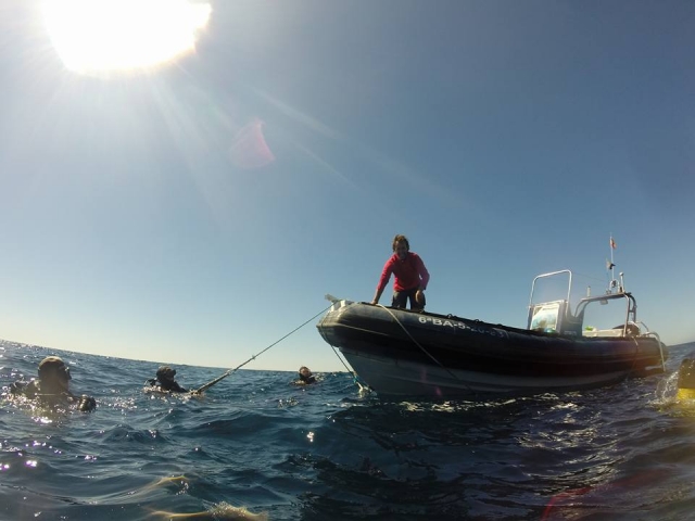 Buceo desde barco en Tabarca