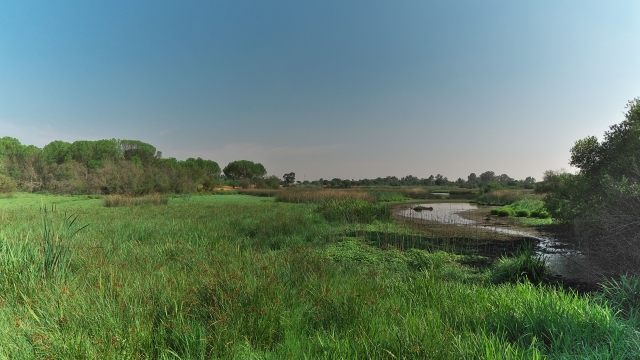  Natural Park