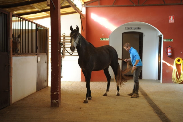 Con el caballo