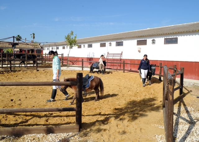 Ponies