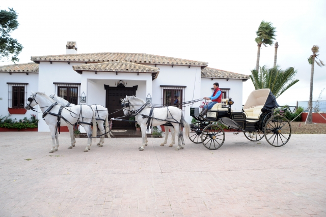 Llegando a casa
