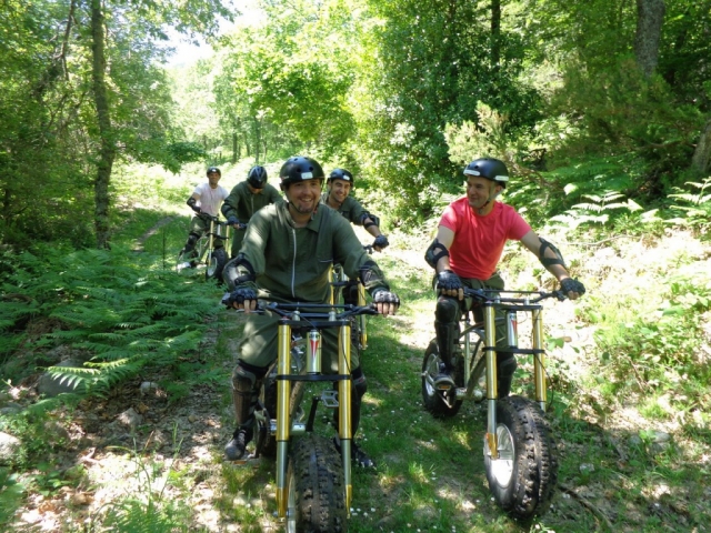 Pedales en el bosque