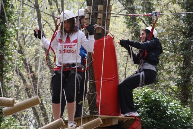 Siguiente tramo del circuito en los arboles