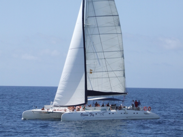  Get on board our sailboats 