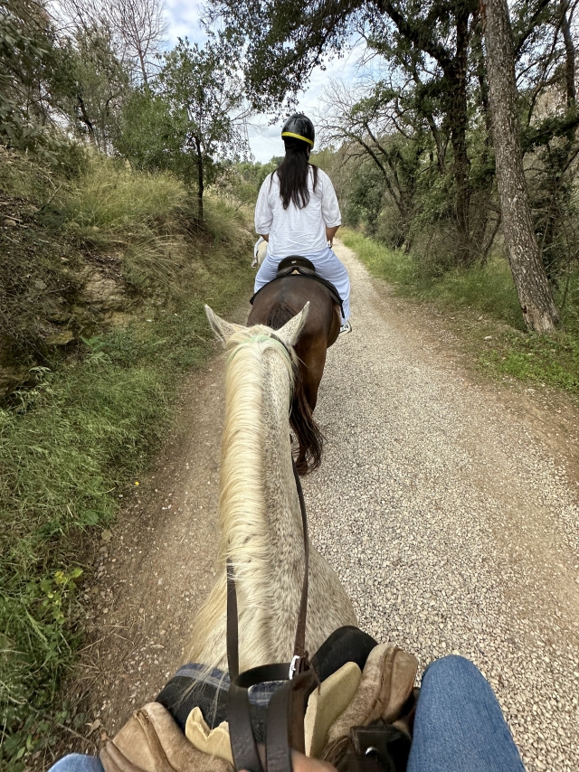 Opinión de David sobre Ruta guiada a caballo por río Llobregat de 1 hora