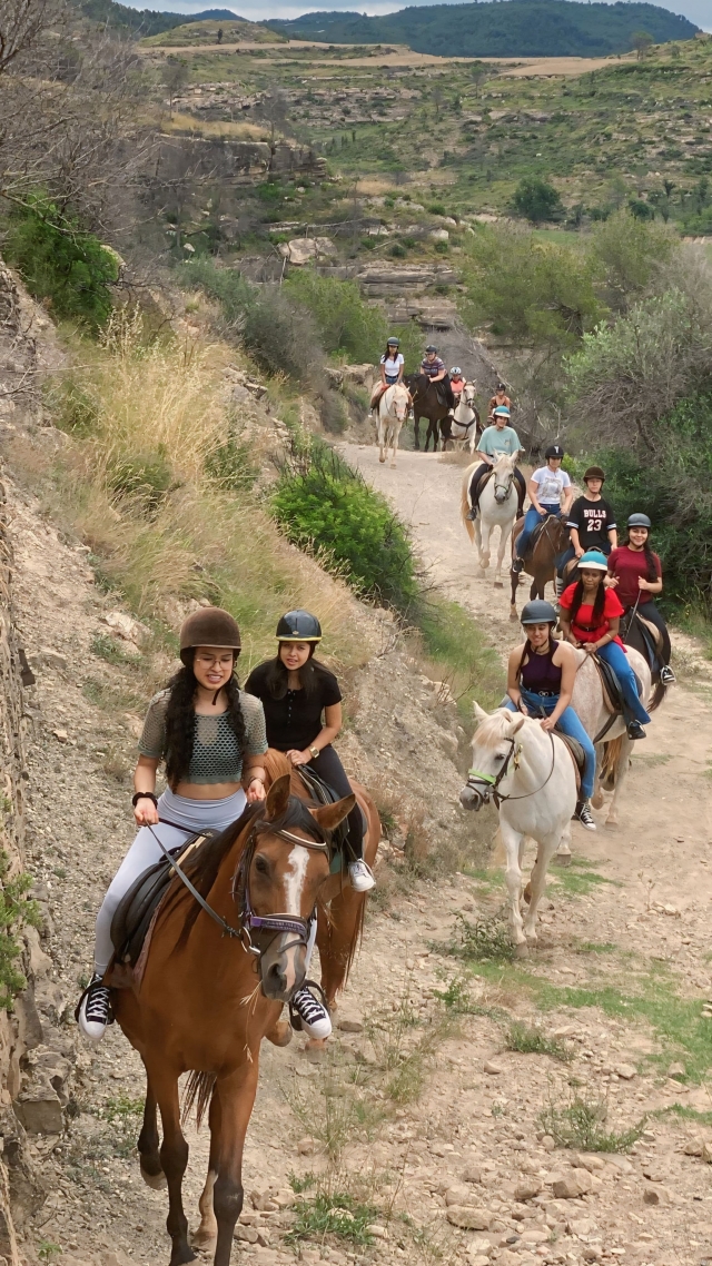 Opinión de Franco sobre Ruta guiada a caballo por río Llobregat de 1 hora