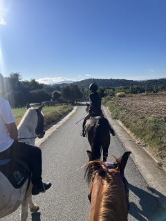res_o-65624-rutas-a-caballo_de_abigail-maldonado-zamora_img-3194_17567244772691.jpeg