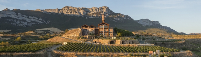  Alavesa winery 