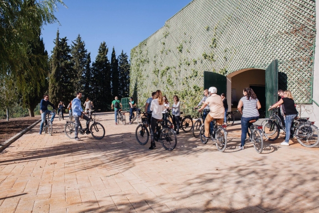 Ruta guiada en bici