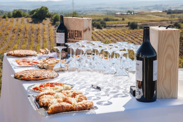 Cata de vino y aperitivo