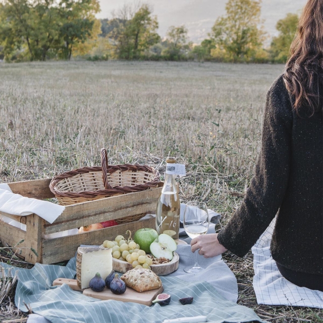 Disfruta de un dia de campo y vino