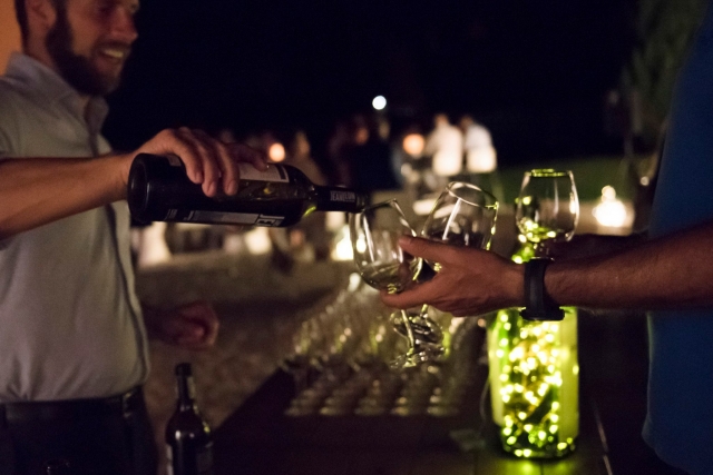 Saborea todo tipo de vinos
