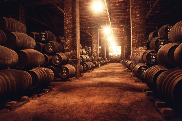 bodegas alvear montilla cordoba