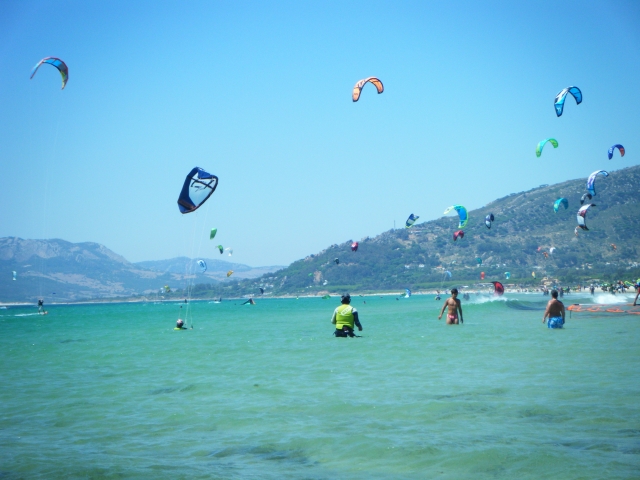 Concentracion de kites