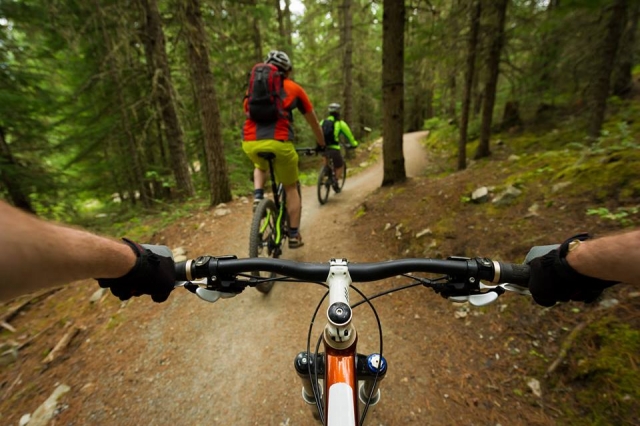  Itinerari attraverso la foresta 