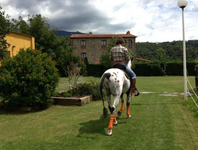 Abandonando la finca a caballo