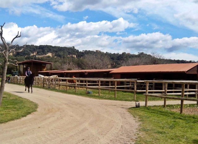 Disfruta de nuestras instalaciones en el Montseny