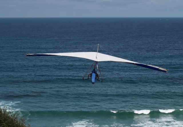vuela sobre el mar