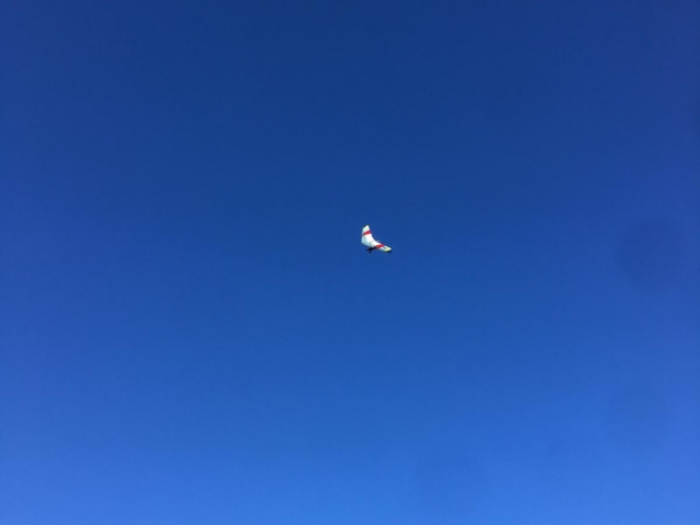 Disfruta del ala delta