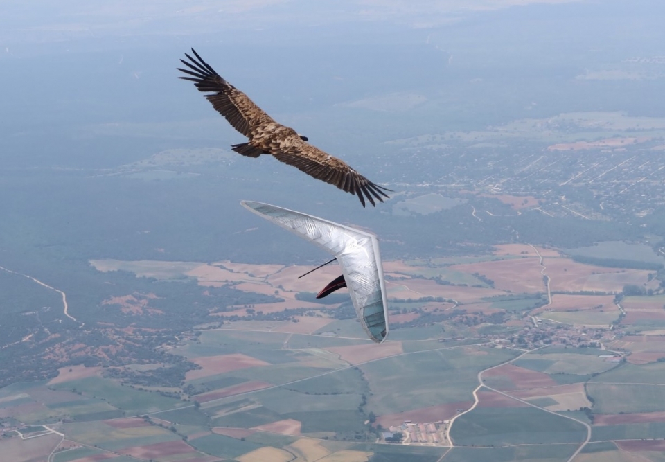 Siéntete como un pájaro