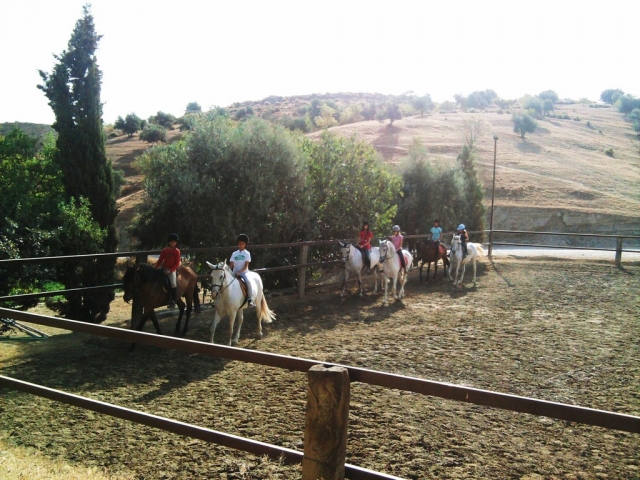  cours d'équitation 