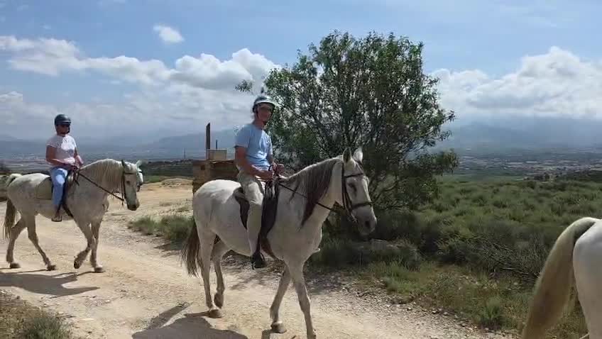 res_o-66750-rutas-a-caballo_de_yolanda-almendros-garcia_17778199605898.mp4