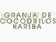 Cocodrilos del Nilo