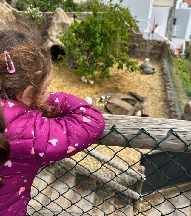 Visitez notre parc à La Palma 