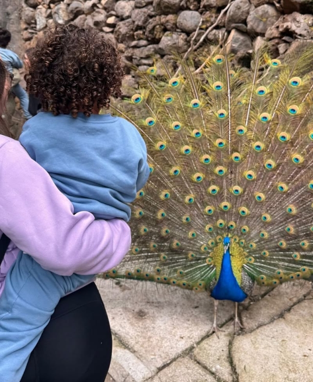 Maroparque