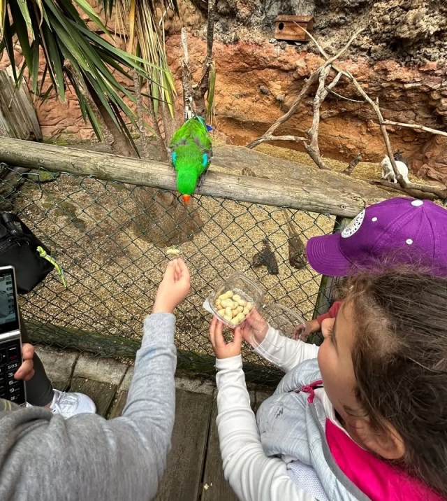  Venez visiter le zoo 