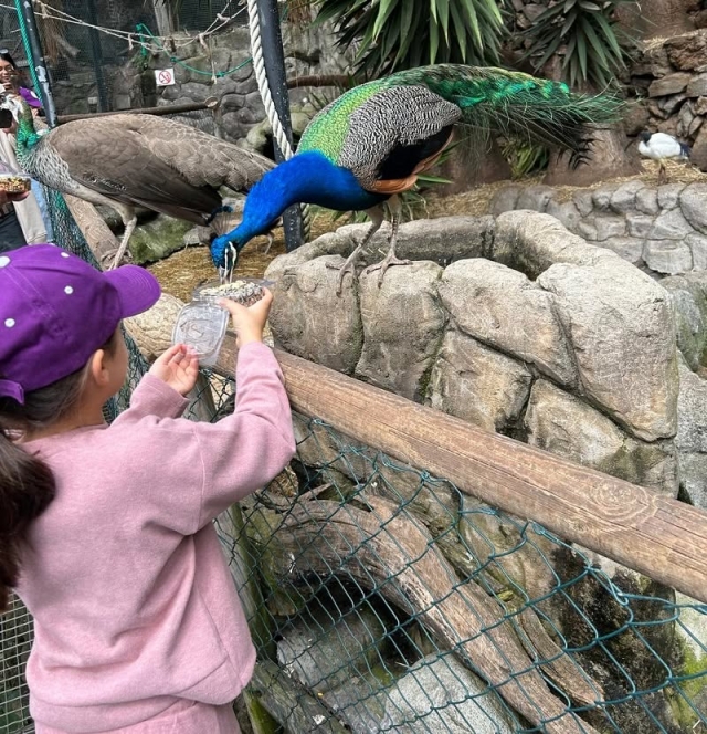  Coexistence entre les animaux 