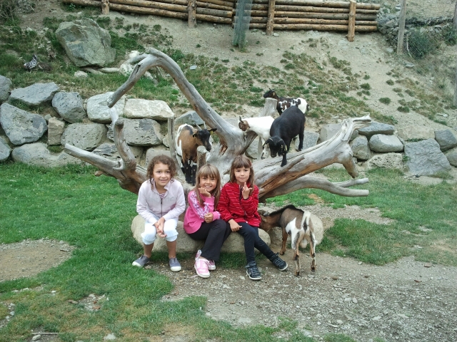 e-19635552-nenes-cabres15057303835095.jpg