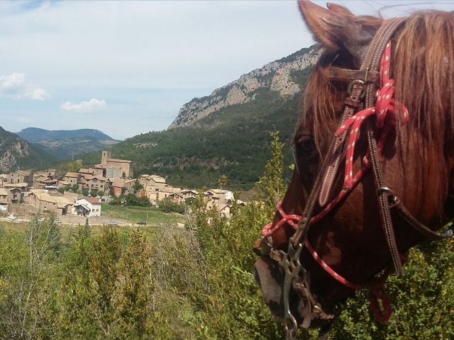 Caballo asomandose al pueblo