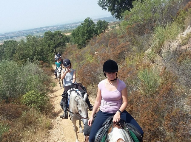 Con los caballos entre matorrales