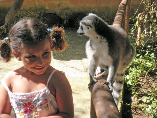 Nina y lemur