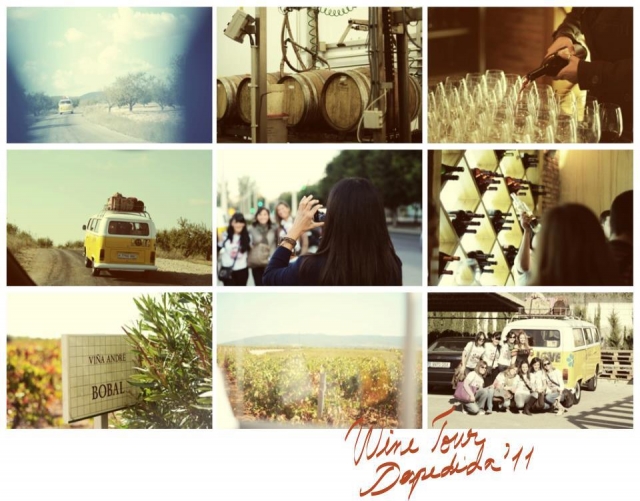 enoturismo mosaico