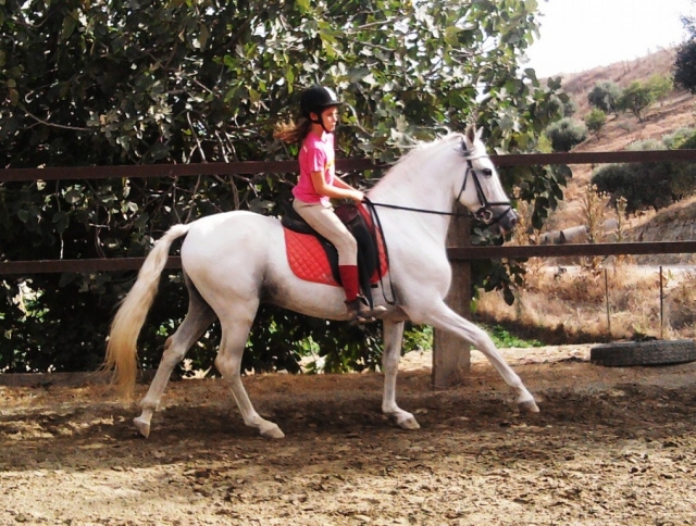 clases de equitacion